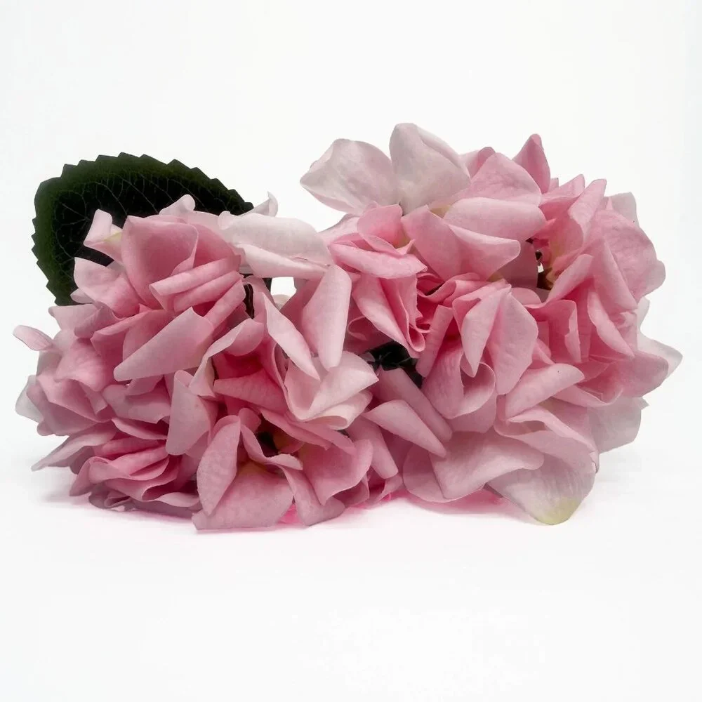 My‎ Texas House Hydrangea Floral Pick Set - Two 16